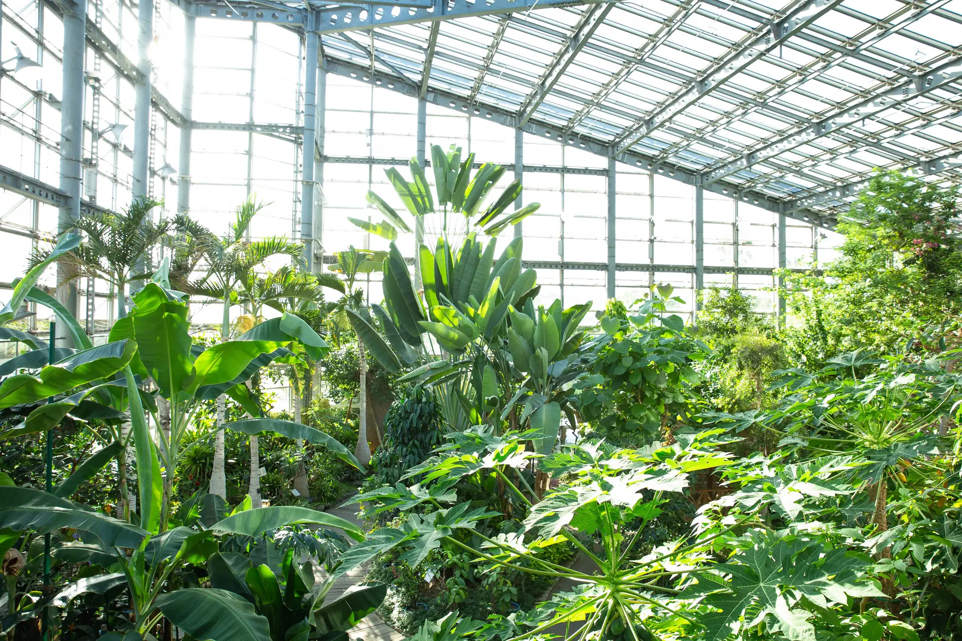 Freezing the Swiss Garden: The Wealthy Answer to Vanishing Nature