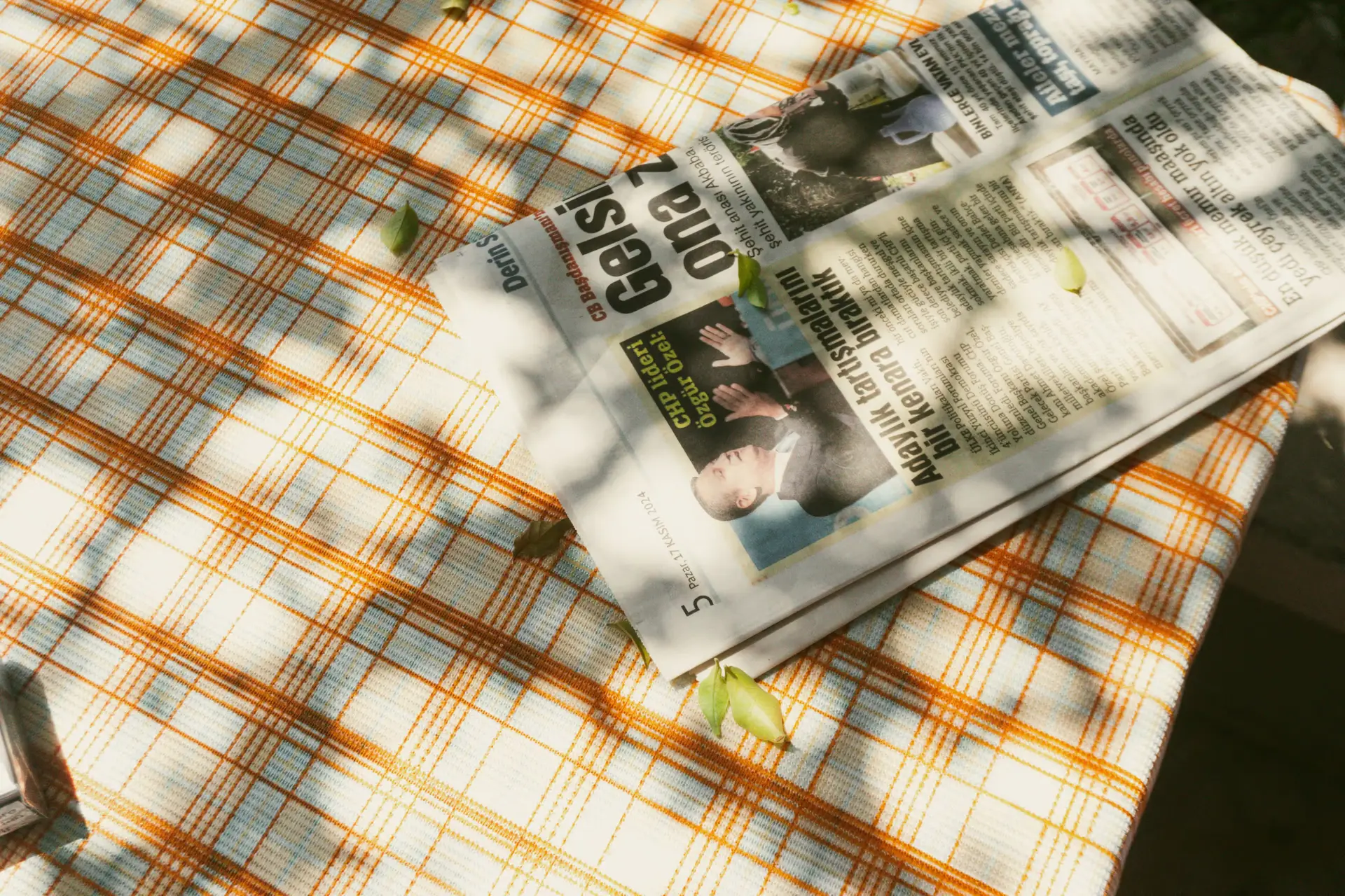 The Administrative Execution of Independent Egyptian Journalism