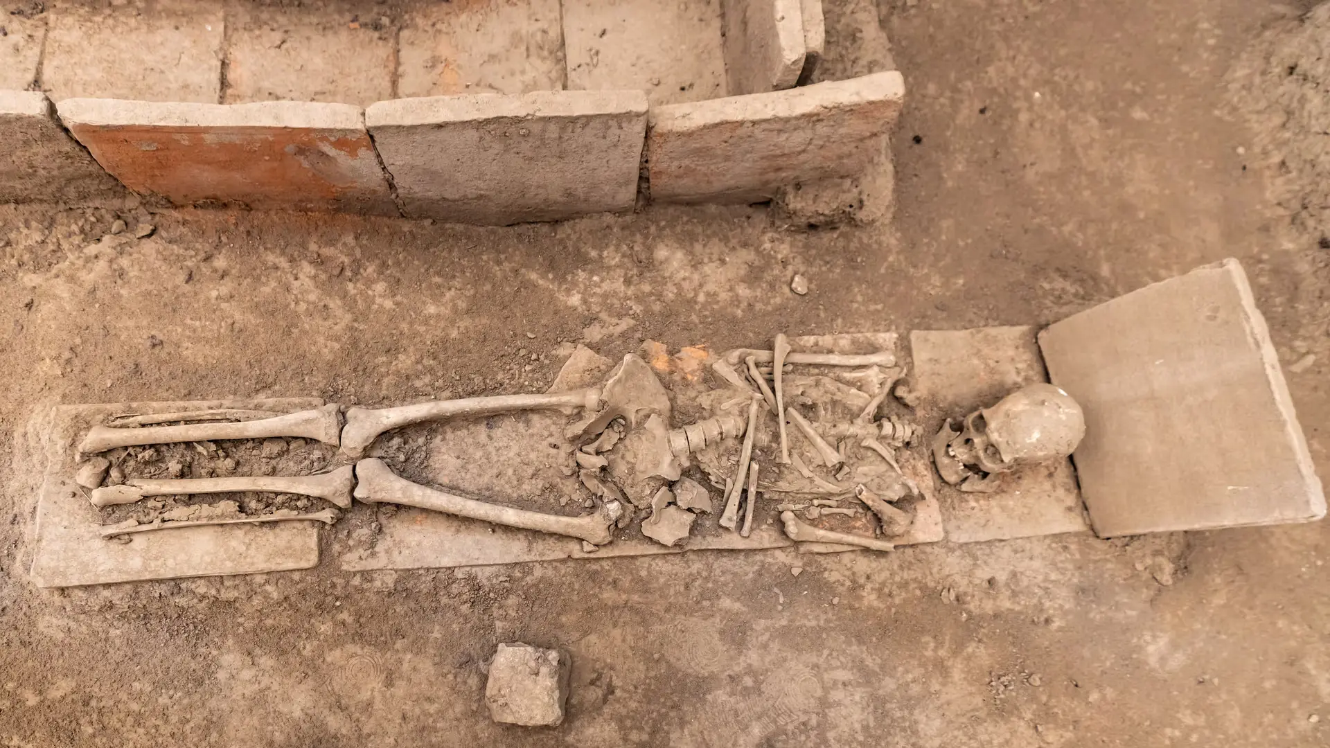 Preserved in Ash, Delayed by Bureaucracy: Pompeii’s Working Class Uncovered