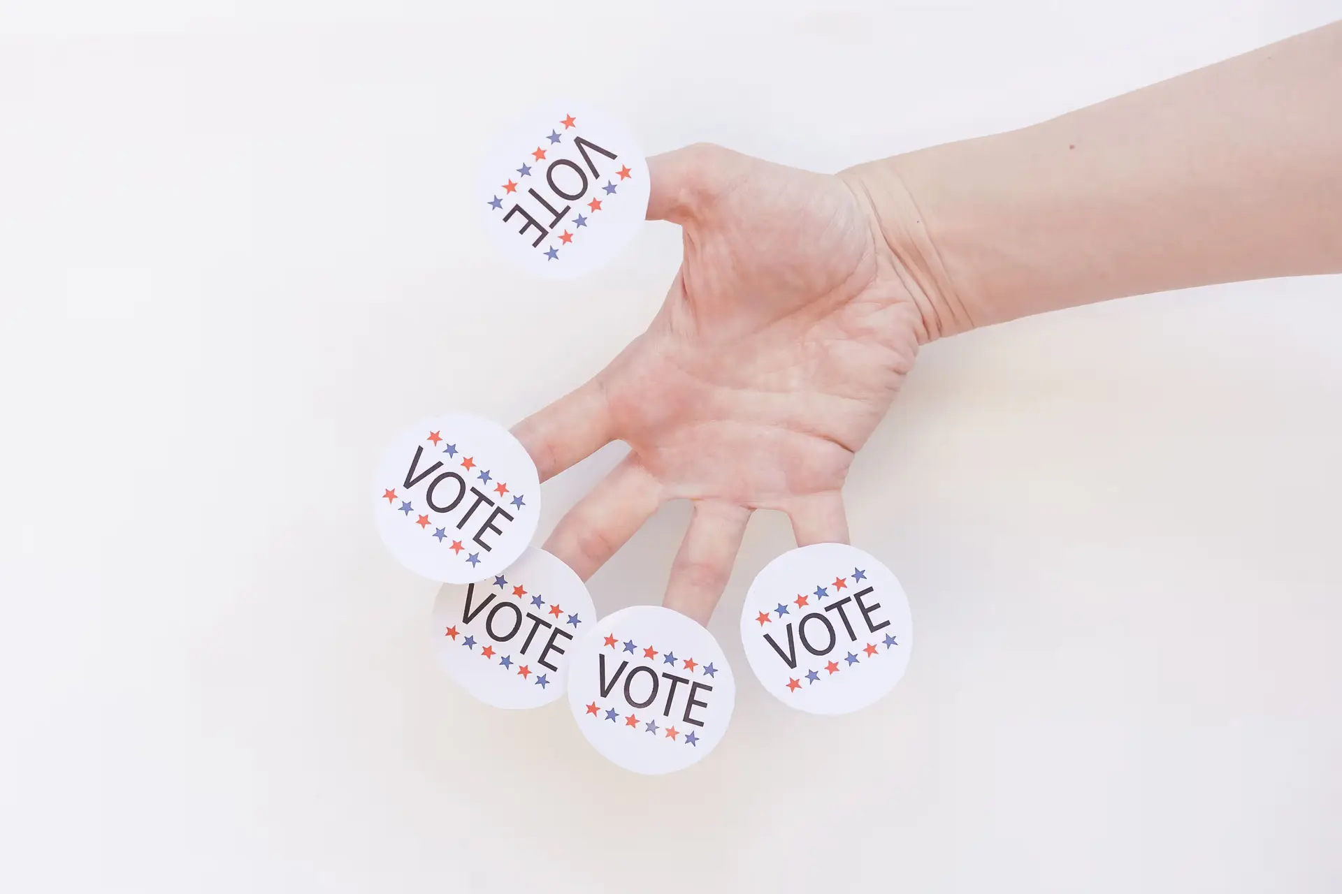 Populist Fantasies and Electoral Reality: The Democrats' Midterm Schism