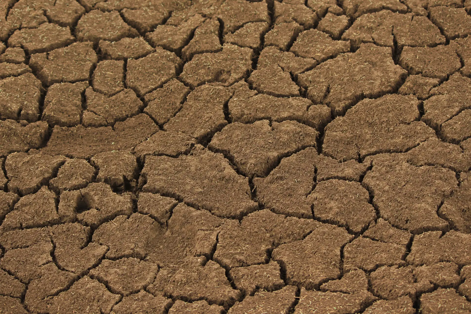 When the Tap Runs Dry: Papua New Guinea's Unprepared Grid Meets El Niño