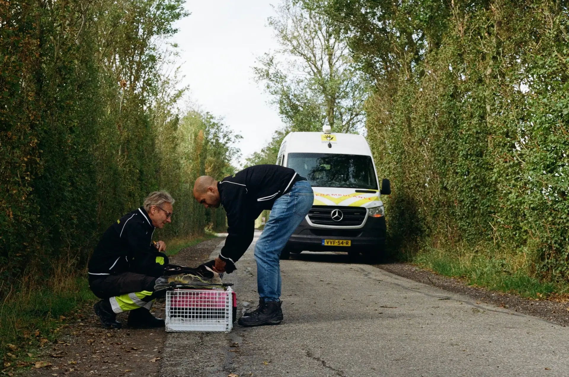 Copenhagen Capitulates to Brussels as Denmark Orders Final End to Mink Industry