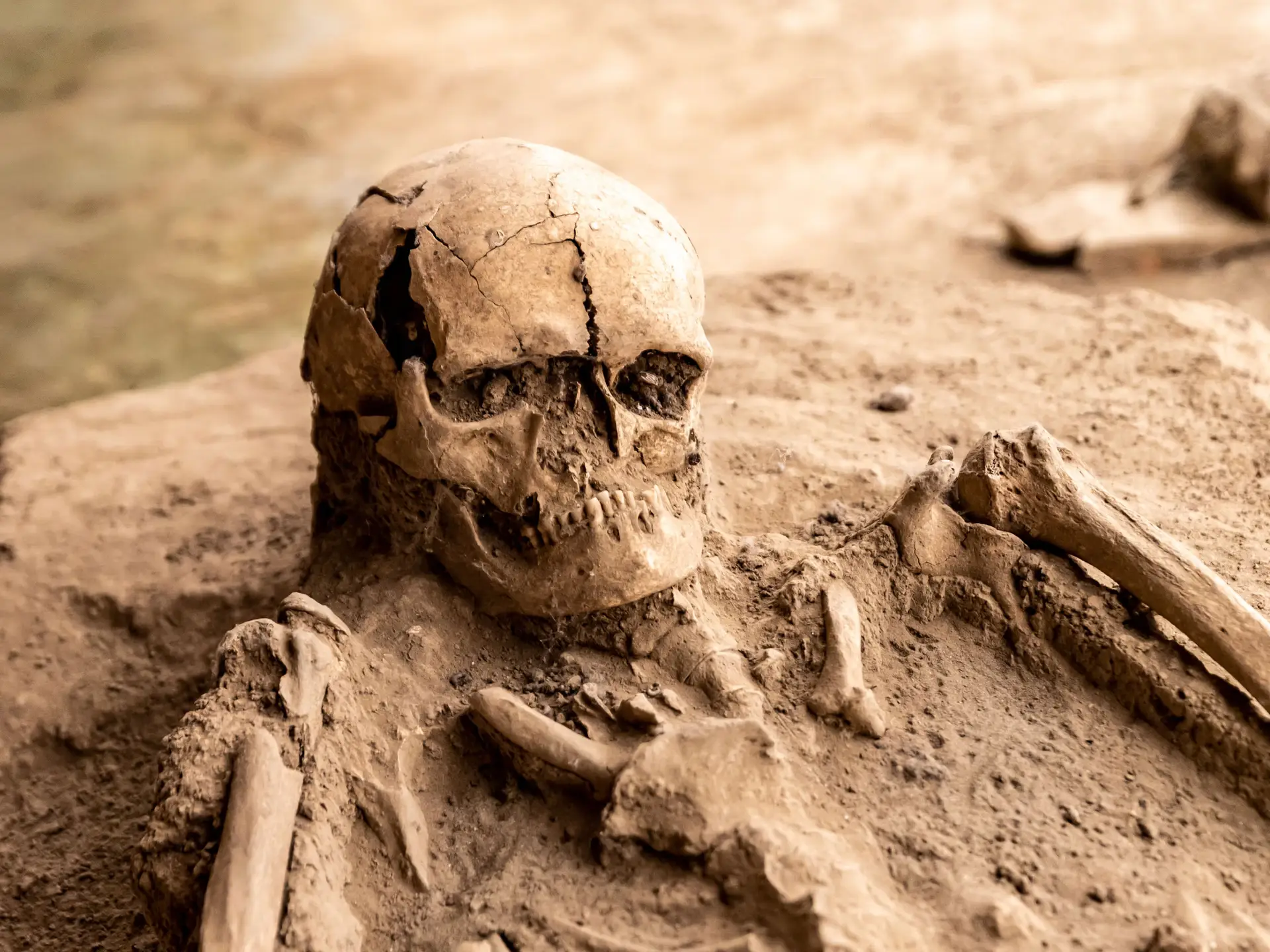 Roman Ruins Halt the March of Swiss Real Estate