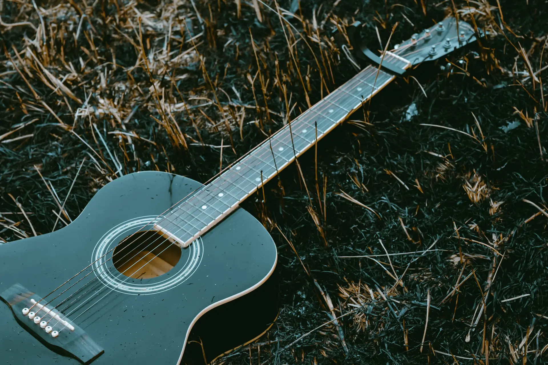 Dolly Parton made fame look useful