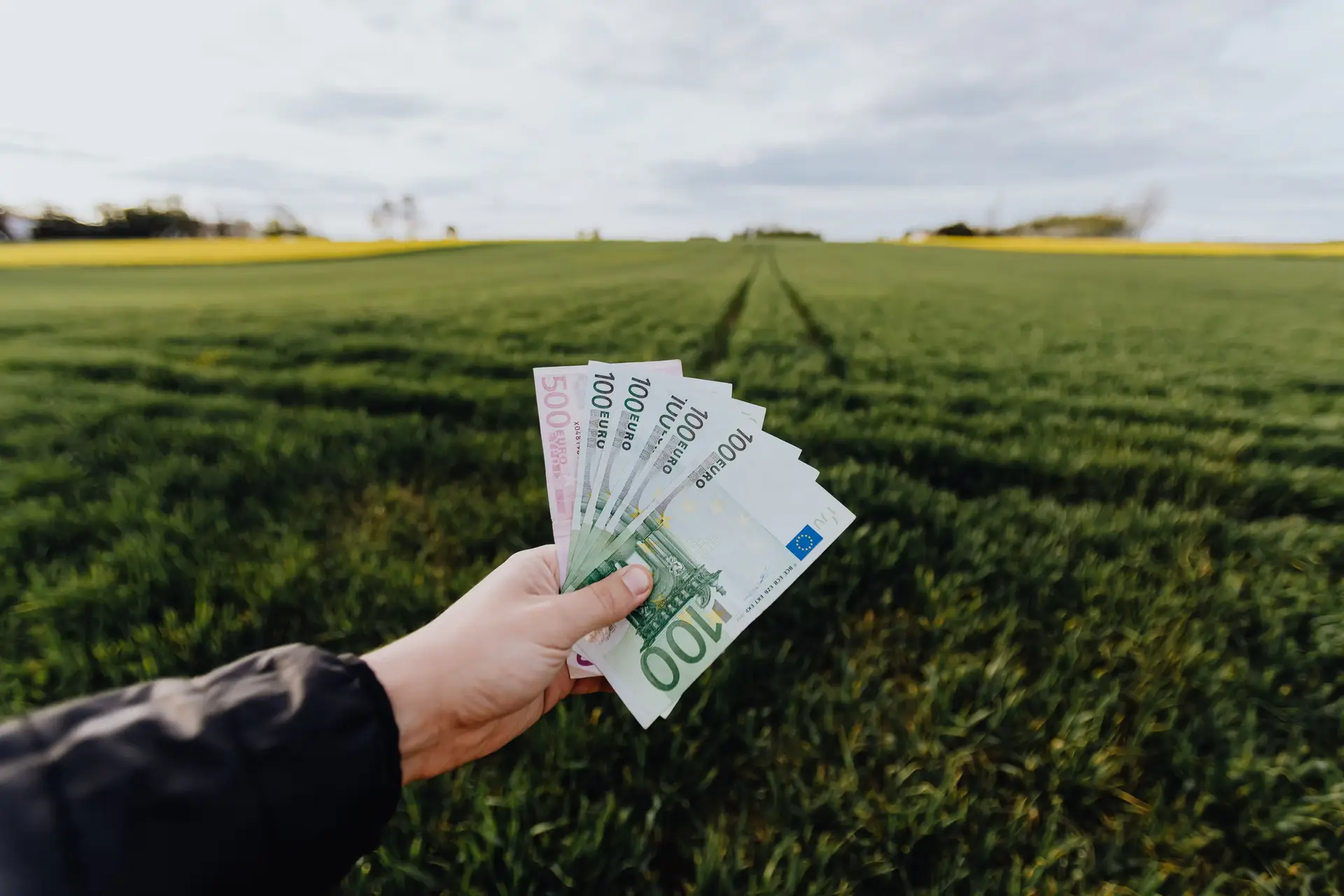 Cash Without Strings: A Free-Market Answer to Amazon Deforestation?