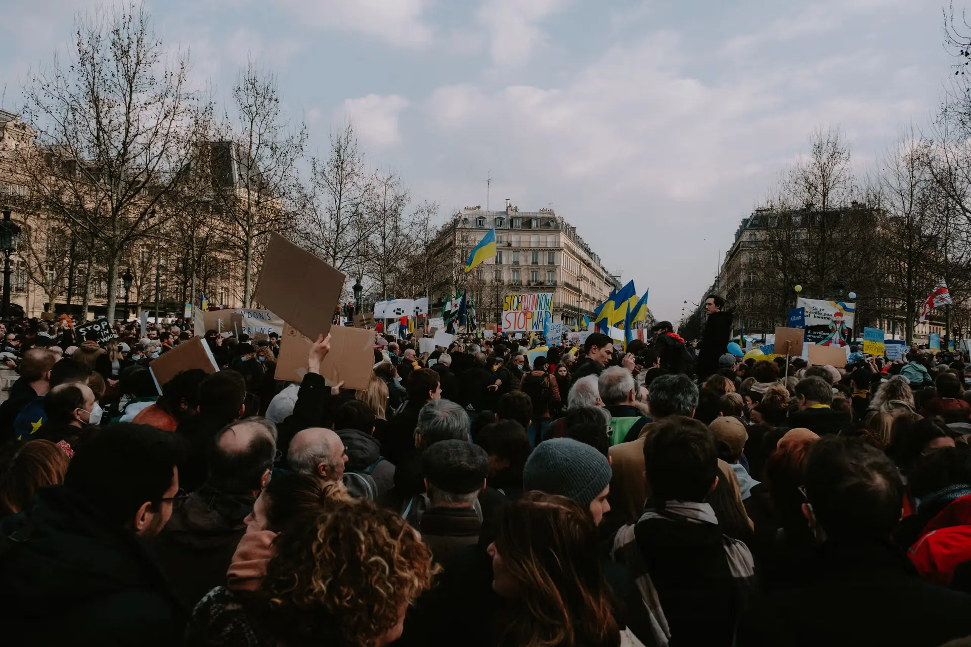 The Permanent Crisis of French Higher Education