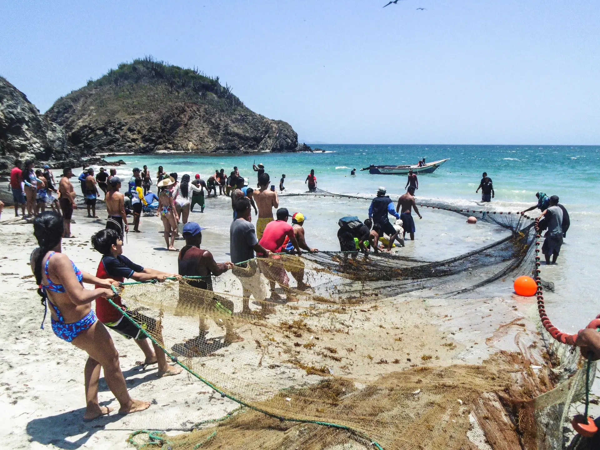 Real Conservation Needs Salt Water, Not Diplomatic Protocols