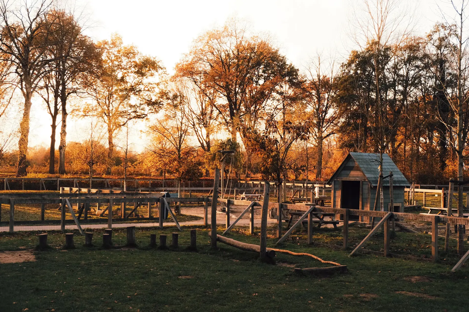 The Limits of Control in the Leopard Enclosure