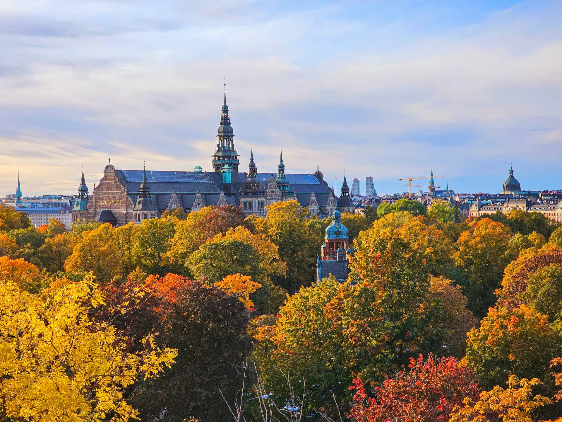 Leaves over Prescriptions: Sweden's Green Remedy for Dementia