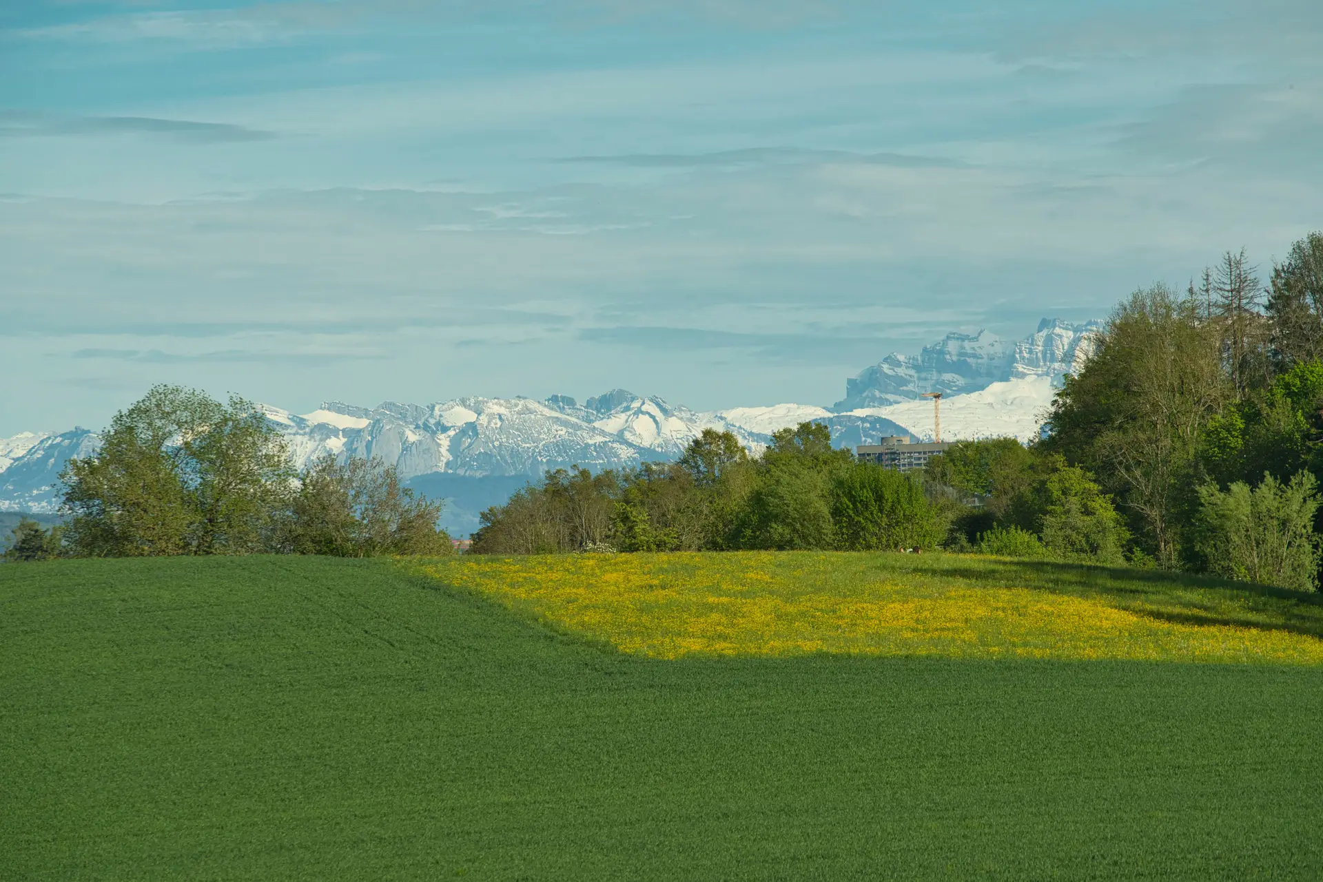 Hot Air in Bern: How Swiss Parties Are Exploiting the Heatwave for 2027