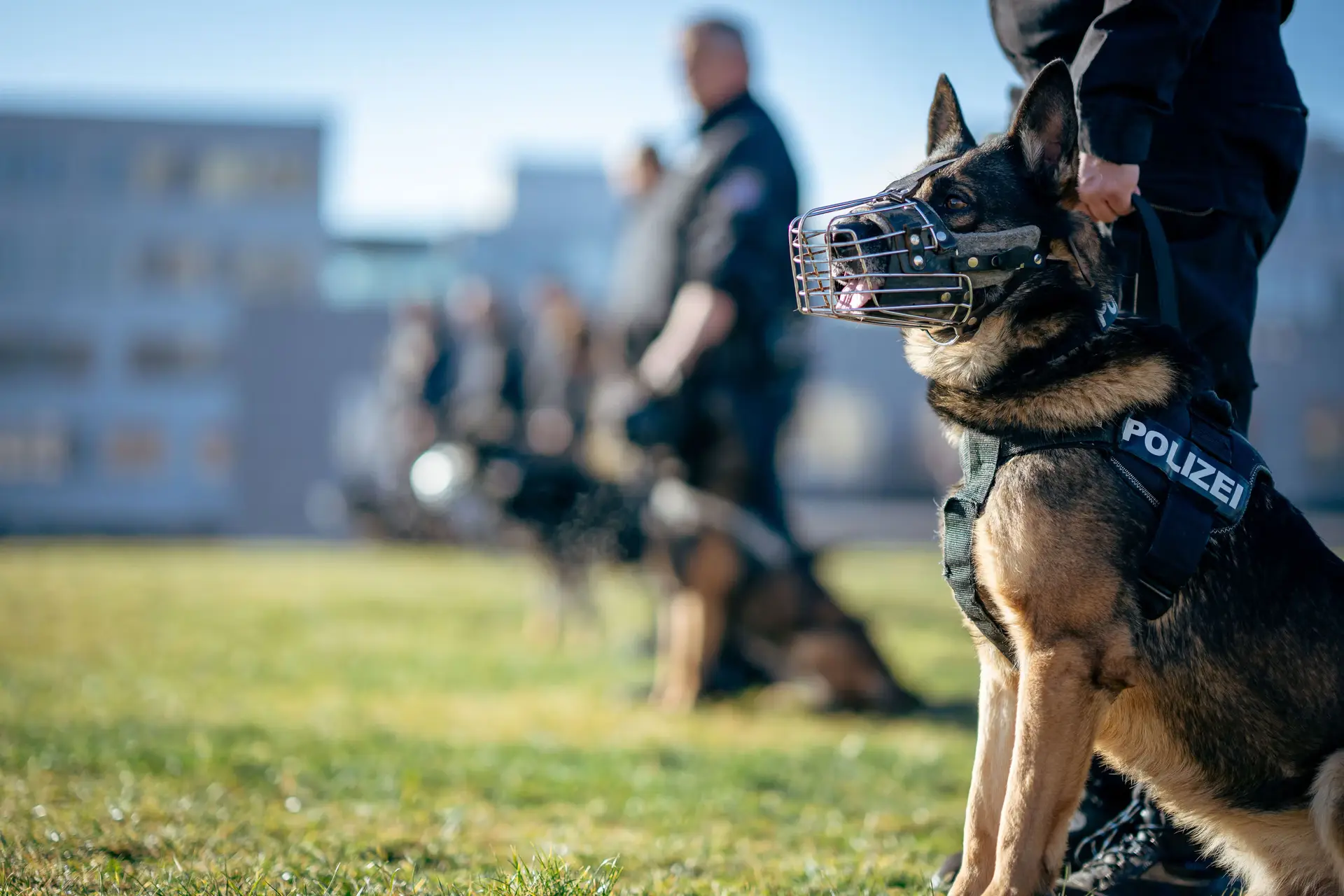 Memory Hole Tactics: German Police Union Quietly Deletes Article Speculating on Anti-AfD Coup