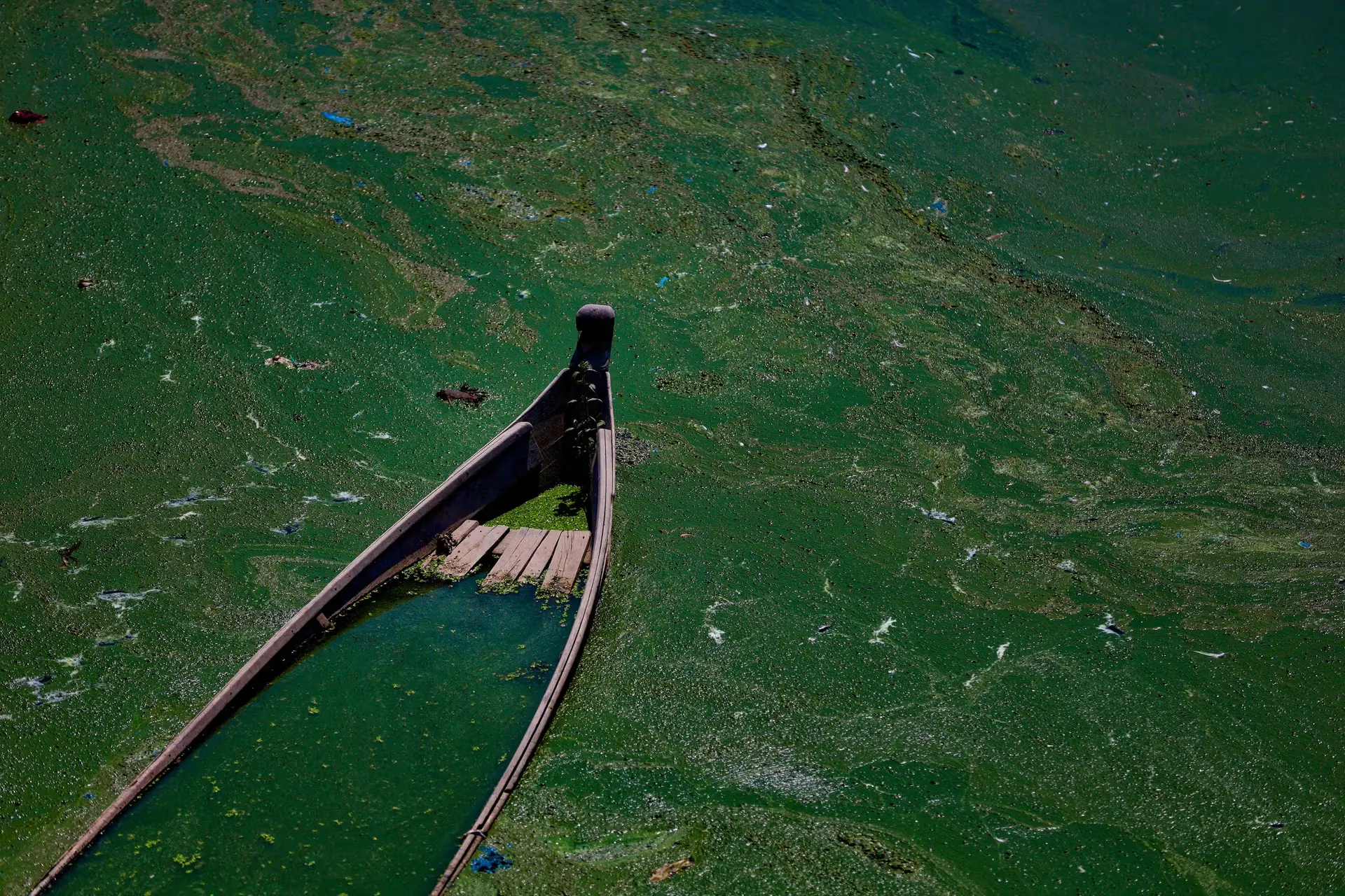 Neglect on the Aquifer: How Waste and Weak Governance Threaten Yucatan's Water
