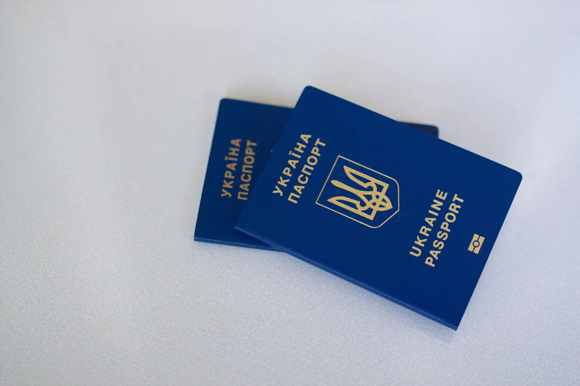 Passports and Profession: Denmark’s Quest for the Ideal Citizen