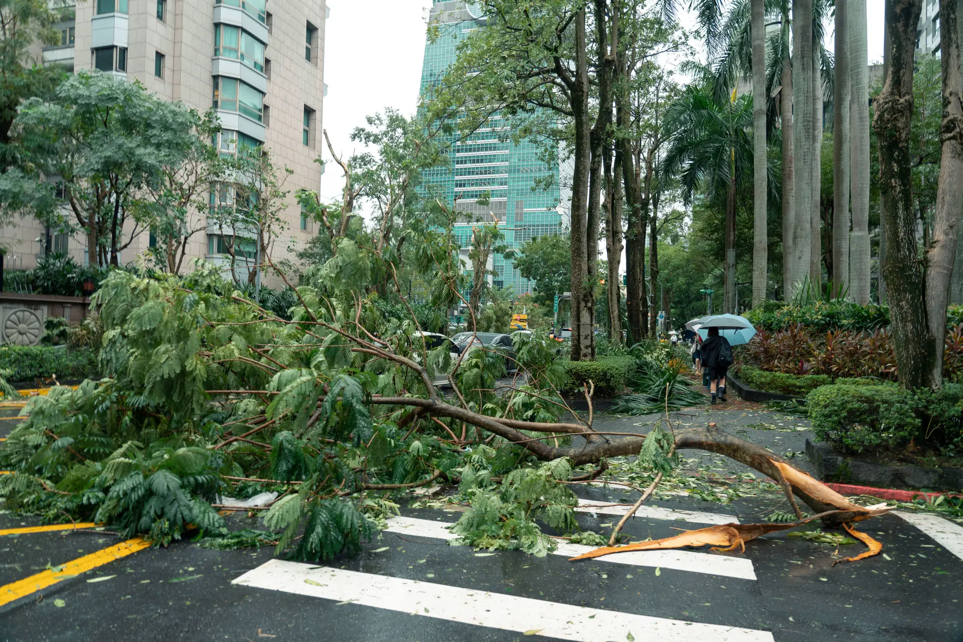 The Five-Trillion-Dollar Pause: Typhoon Champi Grinds East Asia to a Halt
