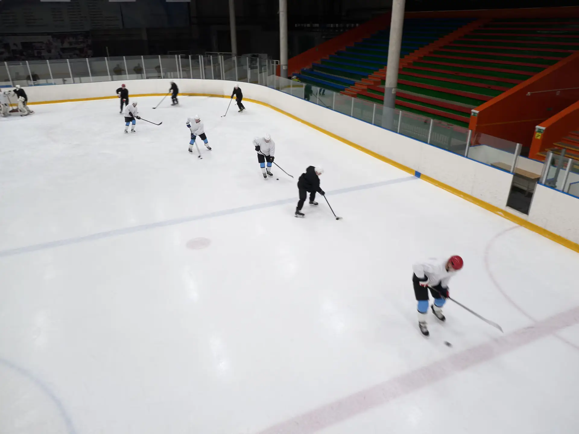 Paper Charters and Broken Bones: Fribourg-Gottéron’s Naive Hockey Order