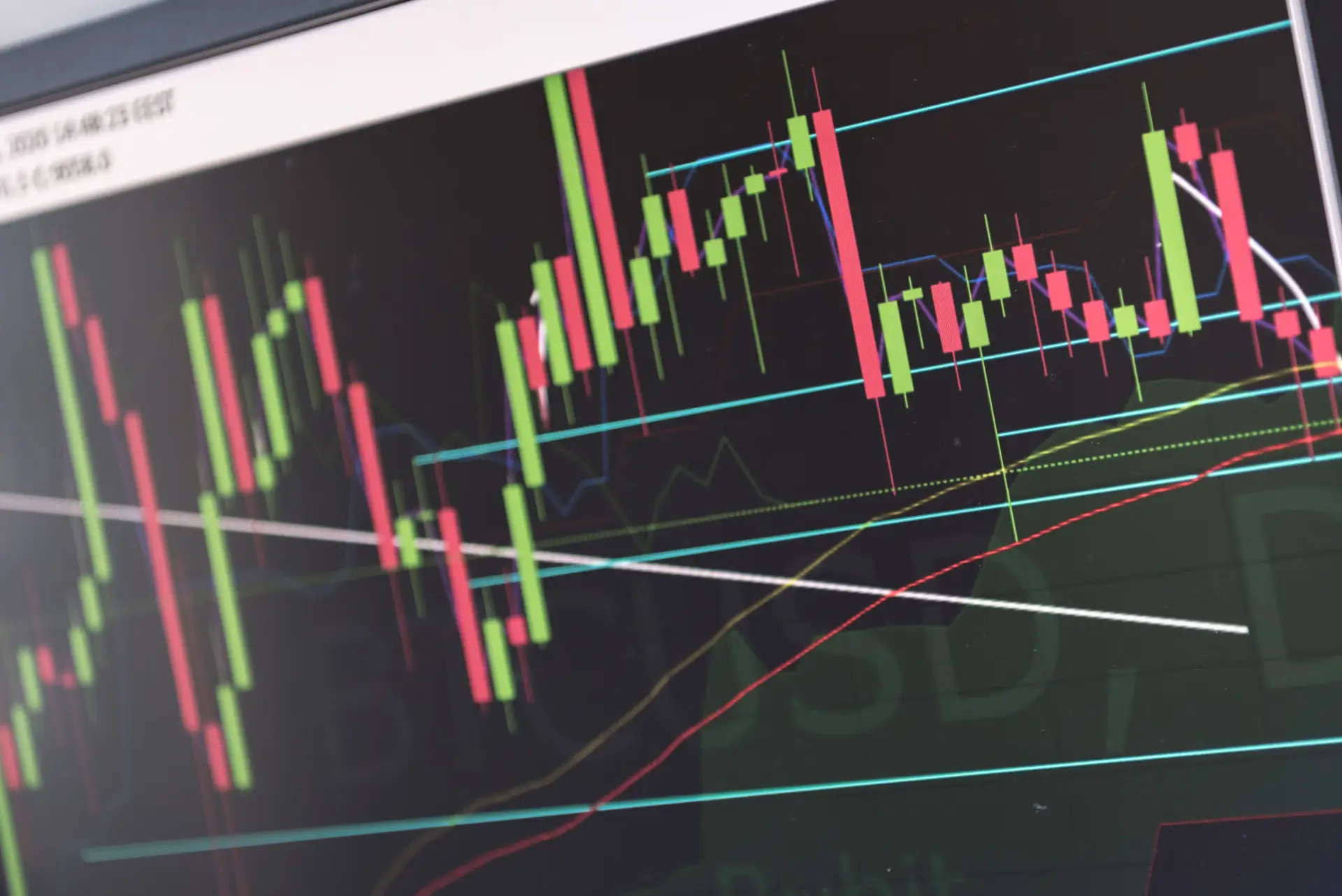 The Limits of Prediction Markets: George Santos and the Art of Self-Betting