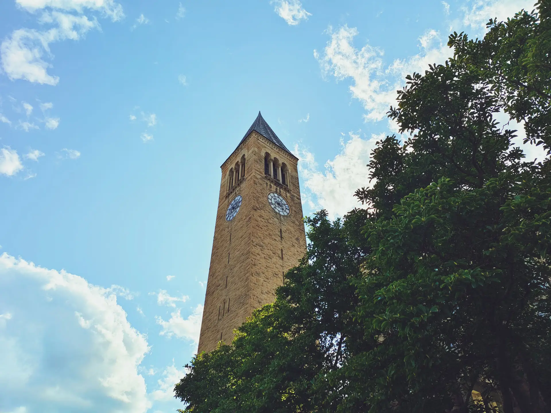 Bureaucratic Inertia on Trial at Cornell