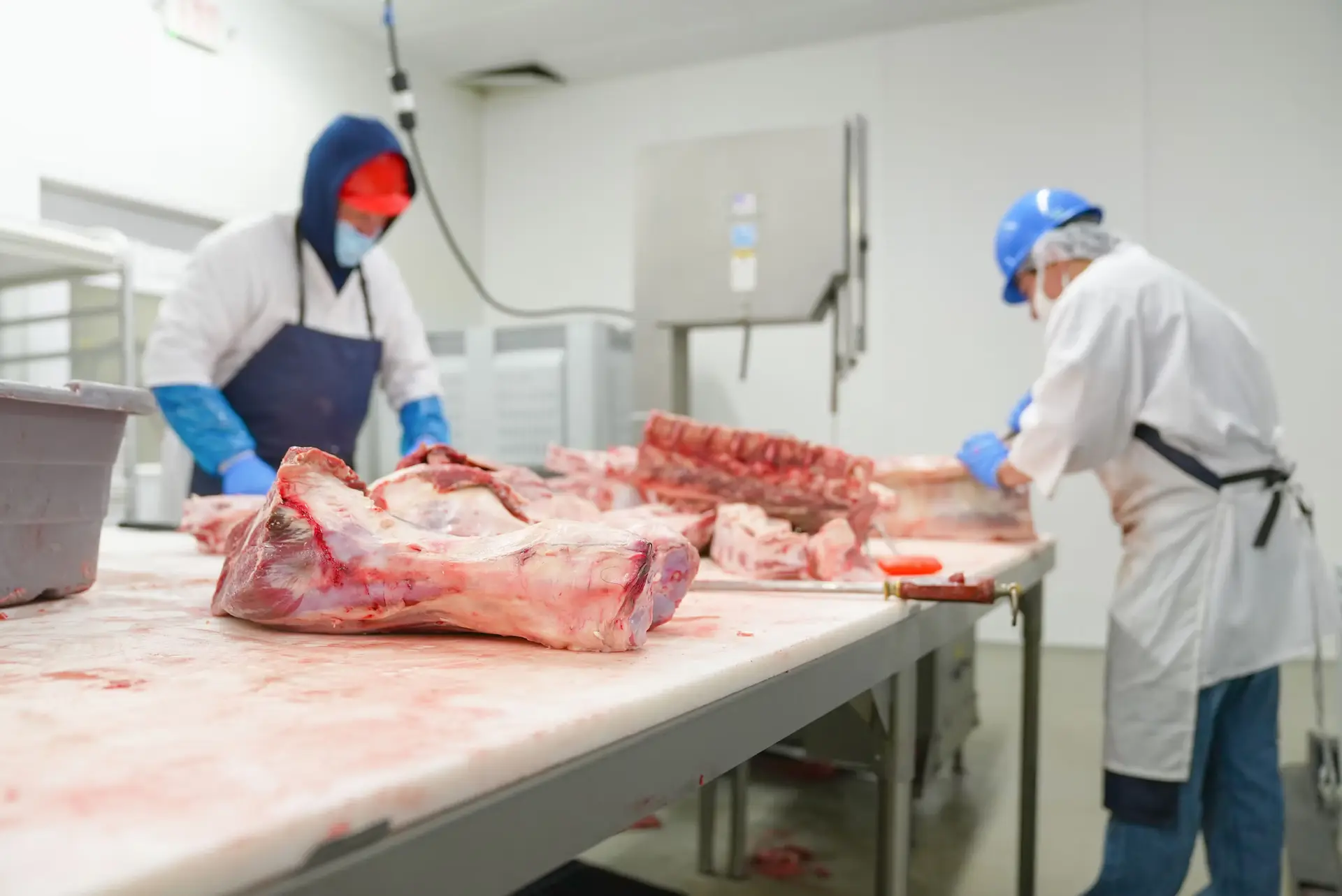 The Preservative Dilemma: Calculating the Price of Cured Meat