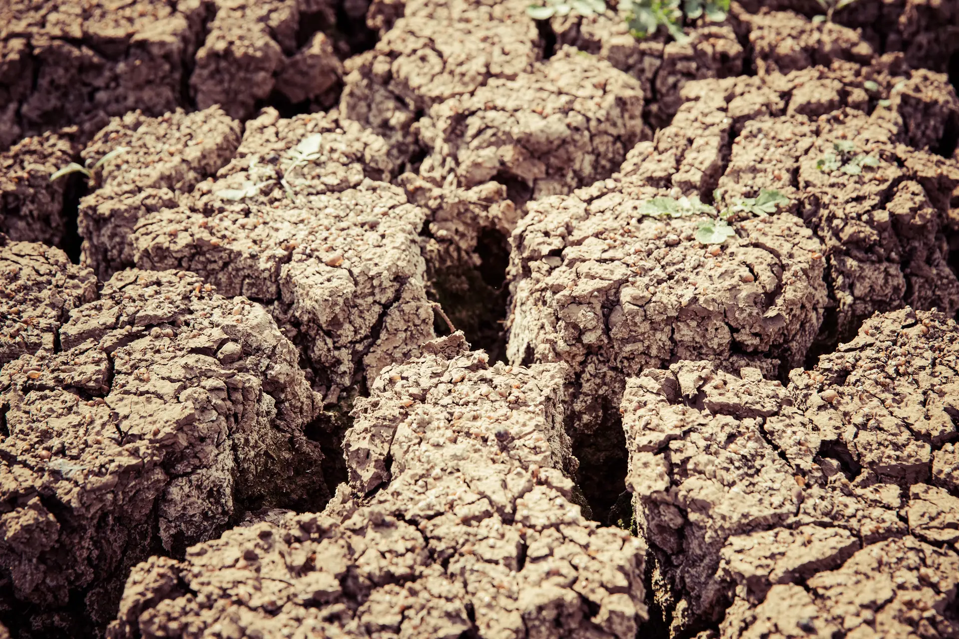 When the Alps Run Dry: Switzerland's Bureaucracy Cushions the Climate Blow