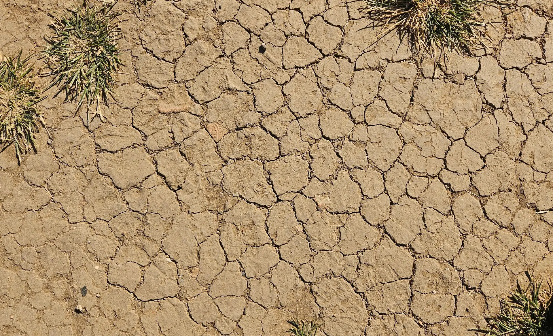 Emergency Decrees and Dry Canals: Central America Scrambles as El Niño Hits Hard