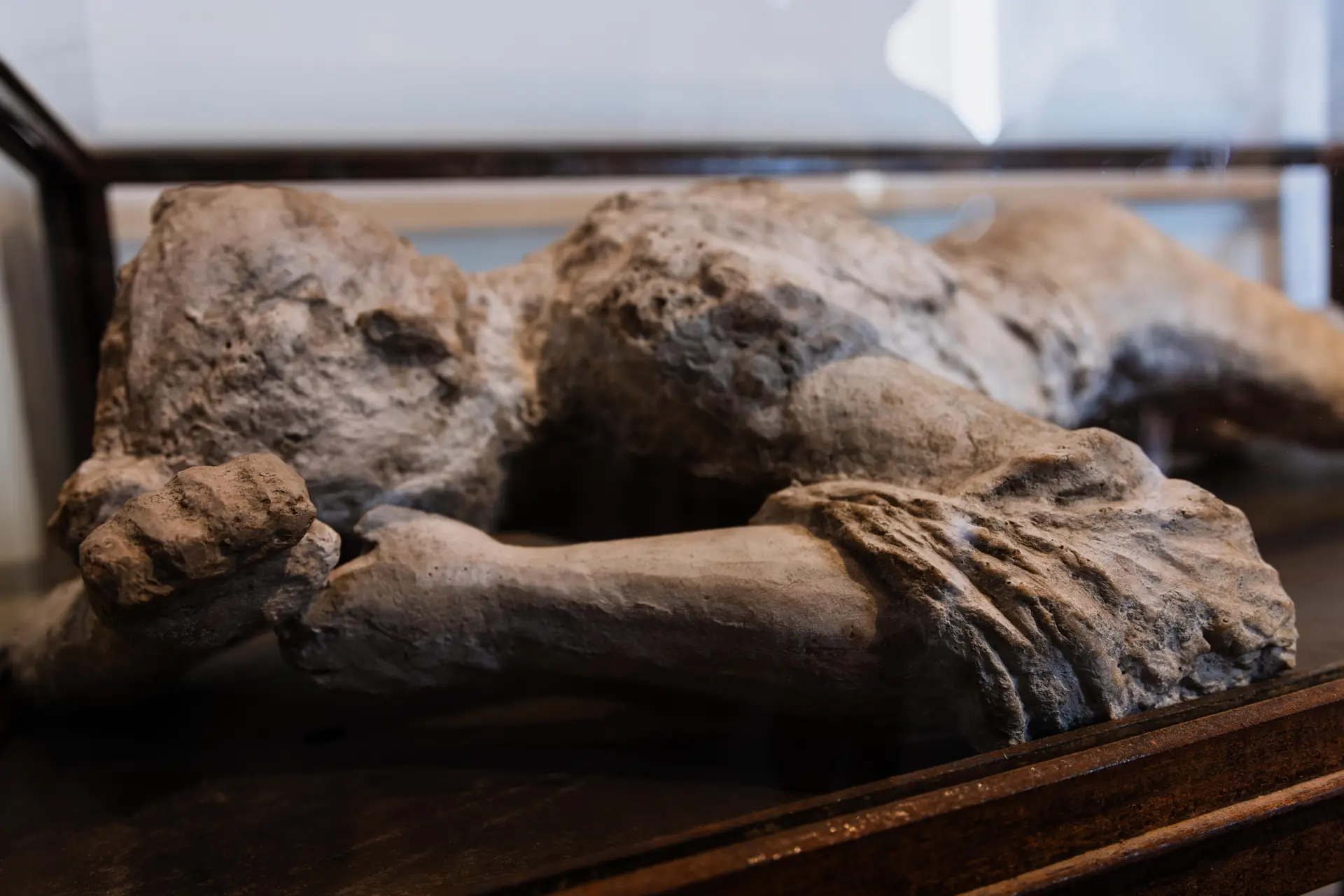 The Cult of the Original: Why Cantons Fight Over Three Centimeters of Stone