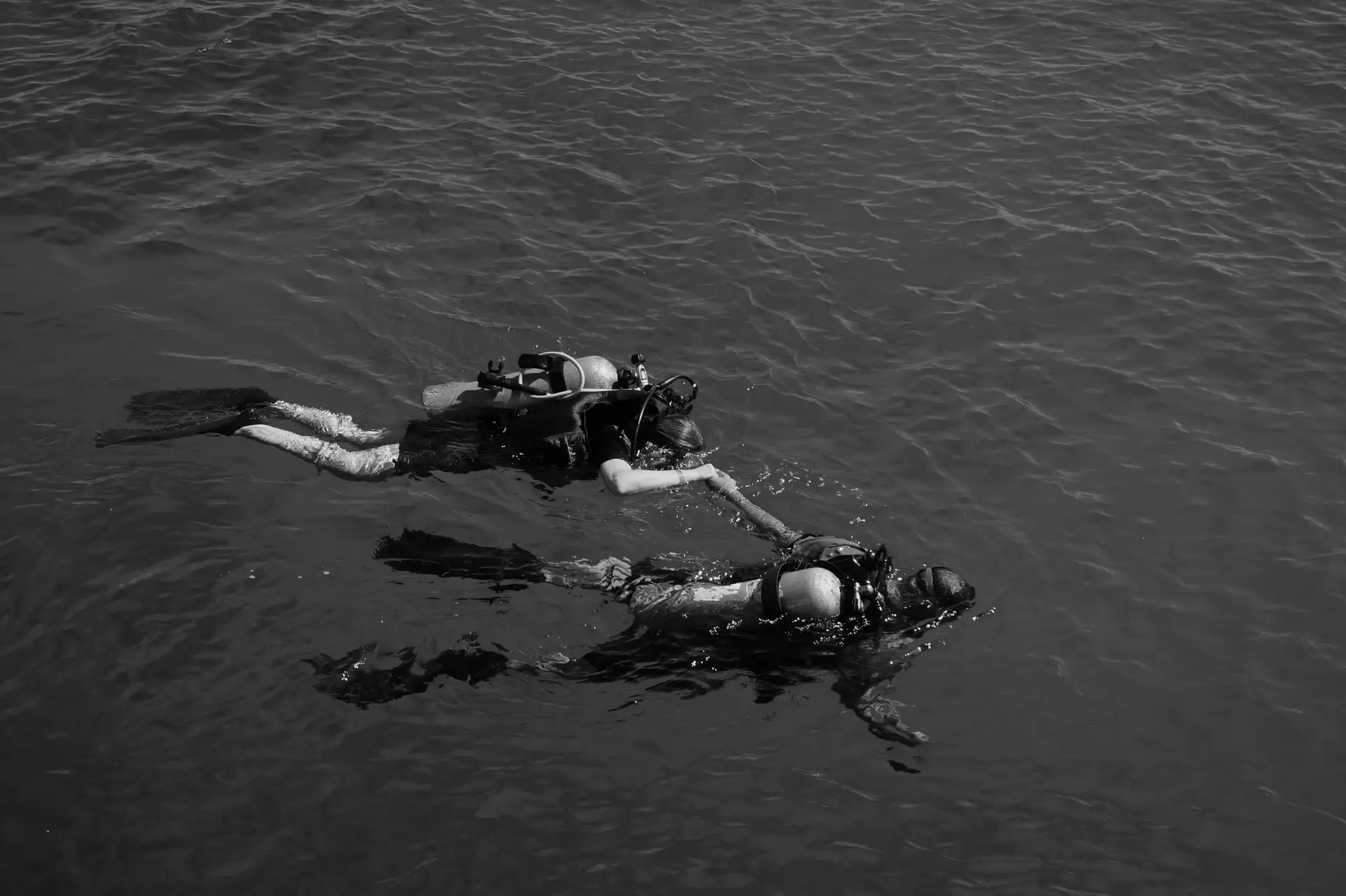 Chasing Shadows in the Lagoon