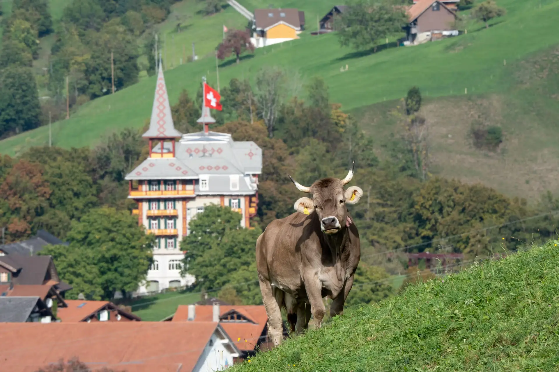 Bern’s Rebellious Chansonnier Out of the Shadows