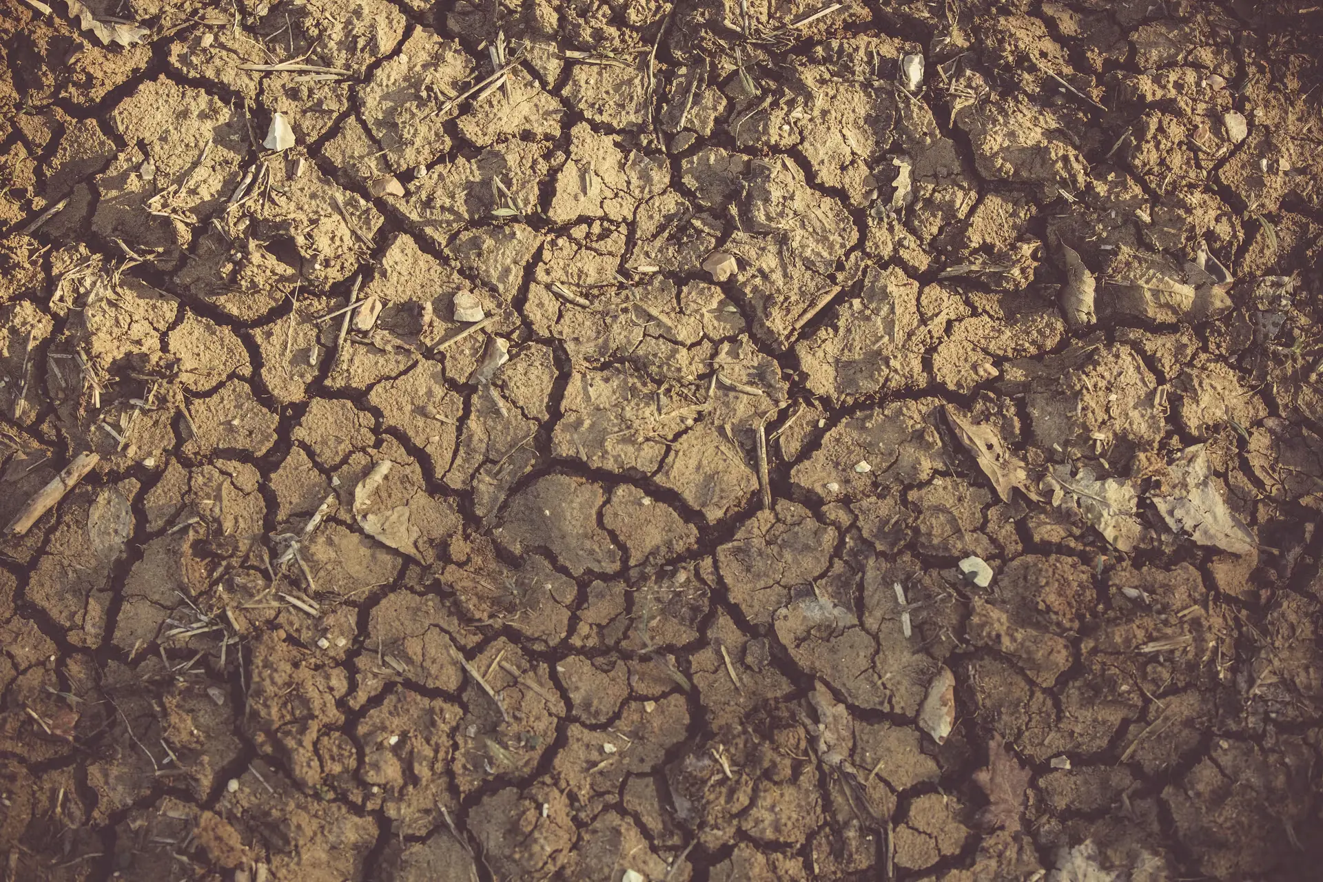 The Delayed Reckoning: Why Switzerland’s Agricultural Crisis Will Hit in Winter