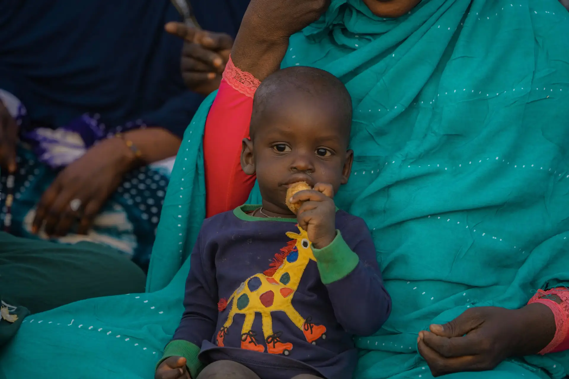 The Arithmetic of Starvation in Aden