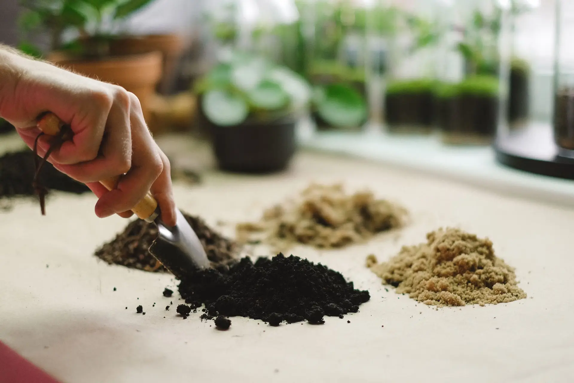 The Last Green Frontier: New South Wales Sanctions Human Composting